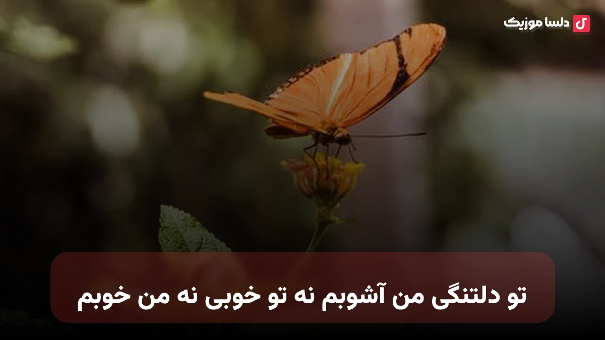 تو دلتنگی من آشوبم نه تو خوبی نه من خوبم